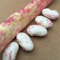 LIGHT SPECKLED KIDNEY BEANS(LONG SHAPE)