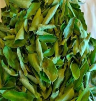 Dried Curry Leaves