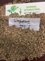 cumin seeds at cheap price