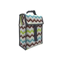 Big Capacity Collapsible Picnic Lunch Cooler Bag Insulated For Sale