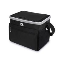 600D polyester lunch bag picnic bag 600D polyester