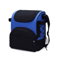 Travel polyester PEVA cooler bag from factory with good price