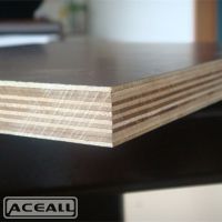 [ACEALL WOOD] Good Quality Plywood, Actually Not Expensive