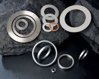 Sealing Material Metal Gasket (ELT-12)