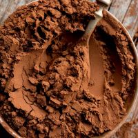 Raw Cocoa Powder with High Quality