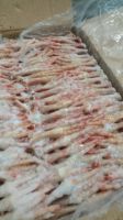 Frozen Whole Chicken / Frozen Chicken Feet / Frozen Chicken Paws