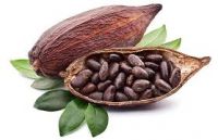 cocoa beans