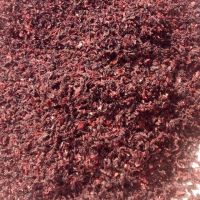 Sell Hibiscus Red Sorrel