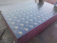 phenolic glue film faced shuttering plywood for construction
