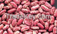 Affordable light speckled red kidney beans round shape