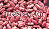 Dry Red Speckled Kidney Beans