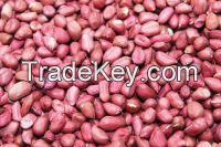 First Quality Ground Nut for Export