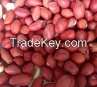 Raw Peanuts, Red Skin Peanuts, Bold Peanuts, 50/60, Ground Nut for export