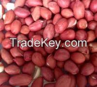 Raw Peanuts, Red skin Peanuts, Bold Peanuts, 50/60, Ground Nut from Asia