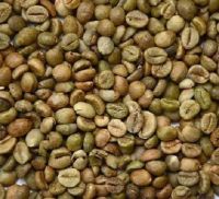 Arabic Coffee Beans for sale