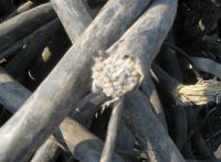 Copper Cable Scraps in Bales