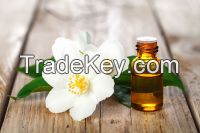 Therapeutic Grade Pure Essential Oils