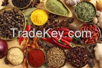 Spice Oleoresins.
