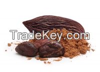 Raw Organic Cacao Powder