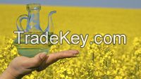 Canadian 100% Pure Rapeseed Oil