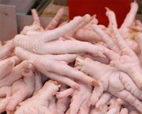 Best Class ! Halal / Fresh / Frozen / Processed Chicken Feet / Paws / Claws