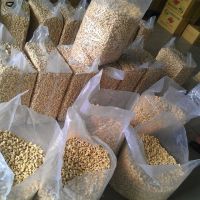 High Quality Raw & Dried Cashew Nuts Wholesale / Raw Cashew Nuts in Shell / Raw Cashew Nut for Sale