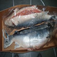 Frozen/Fresh Atlantic Salmon Fish H, O, Gutted