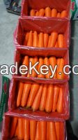 Carrots, fresh carrot, dried carrots