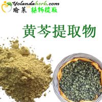 Natural Herb Extract with high Purity Baicalin 85%