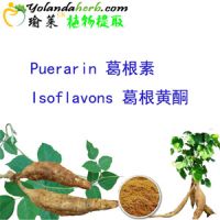 Siberian ginseng extract, No chemical additive eleutherosides b+e 0.8%