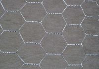 Galvanized Hexagonal Wire Mesh Good Price Home Use