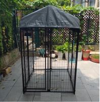 Dog Kennel in Big Size