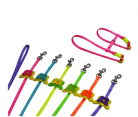 Leash and Harness for Cat and Small Pet Walking