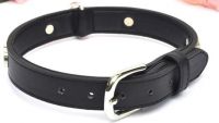 Soft Touch Leather Collar Small Pet Dog Collars