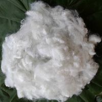 15D hollow non-silicon polyester fiber A grade