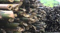 Bulk Bamboo Charcoal for sale