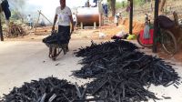 Bulk Bamboo Charcoal available