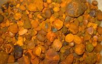 Ox Gallstones / Cattle Gallstones / Cow Gallstones