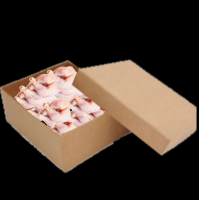 Halal Frozen Chicken Paws, Wings, Drumsticks, other Poultry products