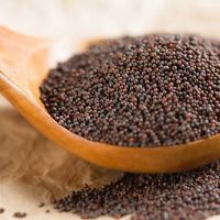 Mustard Seeds, Black White Yellow Mustard Seeds, Brown Mustard Seeds