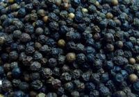 Top Quality 100% Natural Dehydrated Black Pepper