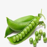 Green beans Frozen Foods Frozen Vegetables Frozen Green