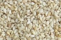 Natural White Sesame Seeds