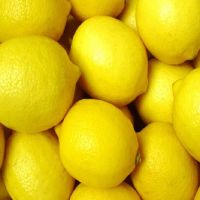 Fresh Eureka Lemon, Adalia Lemon, Verna