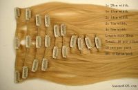 100% remy hair- Clip Hair Extension since 1999