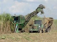 Reposition Spare Parts for SugarCane Harvester Machines