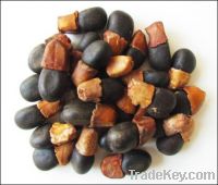 Sell Afzelia xylocarpa Kurz Craib-Teak seeds, Siamese Rosewood