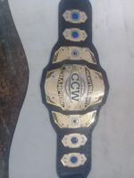 CUSTOM CHAMPIONSHIP BELTS