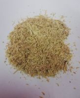 Rice Husk (High grade from Pakistan)