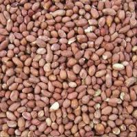 High Quality Raw Peanuts Kernel And Raw Peanut In Shell For Sale